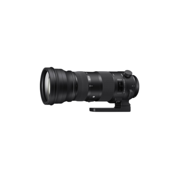 Sigma 150-600mm f/5-6.3 DG OS HSM Sports Lens Nikon F